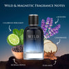 VLONIS WILD fragrance pyramid notes chart - bergamot lavender black pepper cedarwood amber musk
