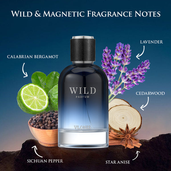 VLONIS WILD fragrance pyramid notes chart - bergamot lavender black pepper cedarwood amber musk